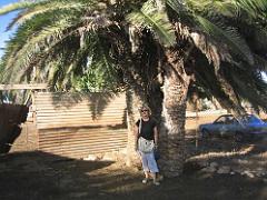 VOYAGE a ORAN du 30-06 au 6-06 2008 (405)